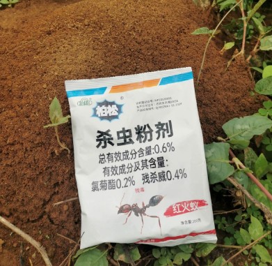 红火蚁红蚂蚁杀虫粉剂蚂蚁药红火蚁红蚂蚁野外杀虫粉剂家用