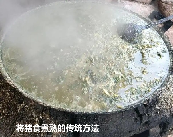 将猪食煮熟的传统方法.jpg