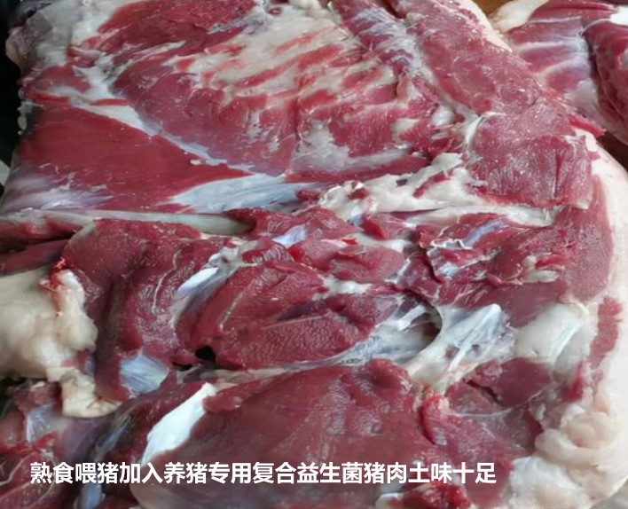 熟食喂猪加入养猪专用复合益生菌猪肉土味十足.jpg