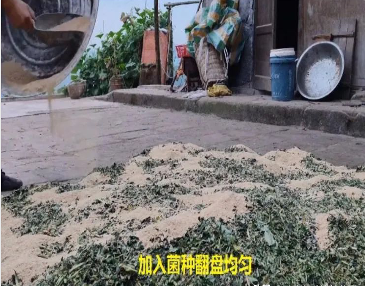 QQ图片20250409150525.png