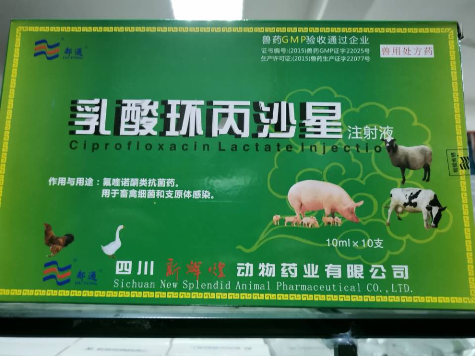 QQ图片20210603122314.jpg