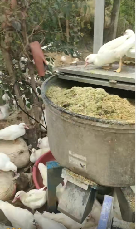 QQ图片20250528141149.png