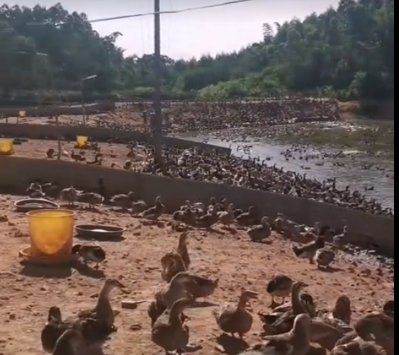 截图20250630154110.png