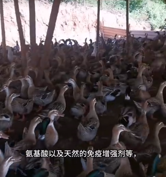 截图20250630154044.png