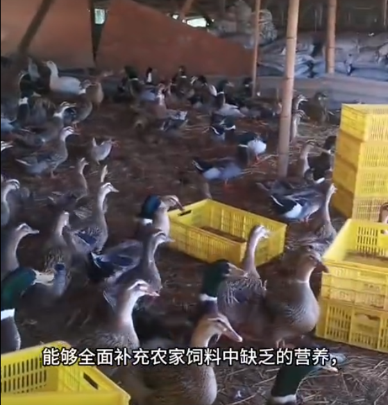 截图20250630154008.png
