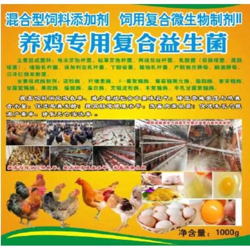 微信图片_20250707094552.jpg