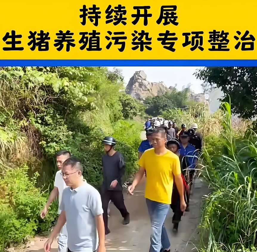 畜禽养殖环境污染专项整治.jpg