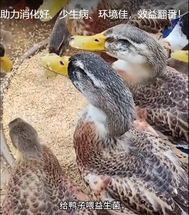 截图20250723102559.png