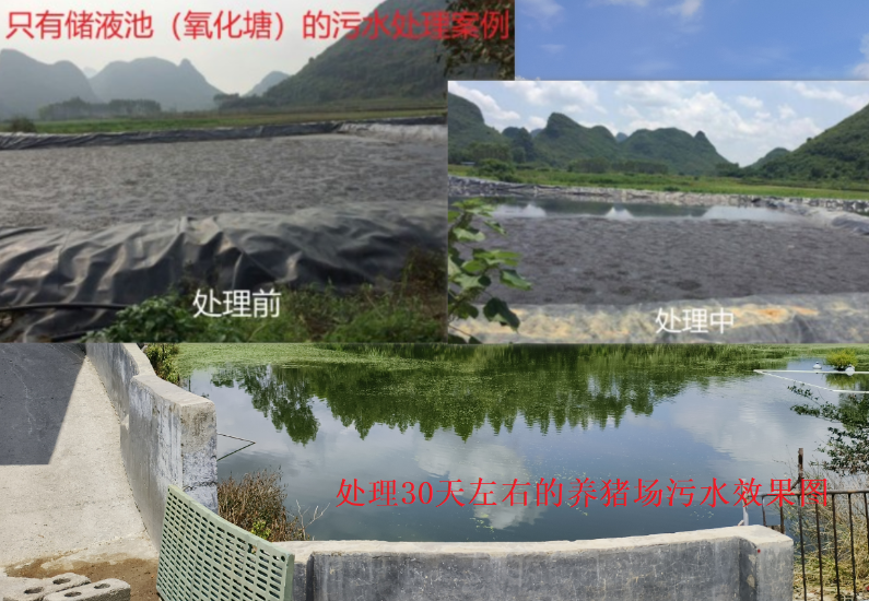 污水处理.png