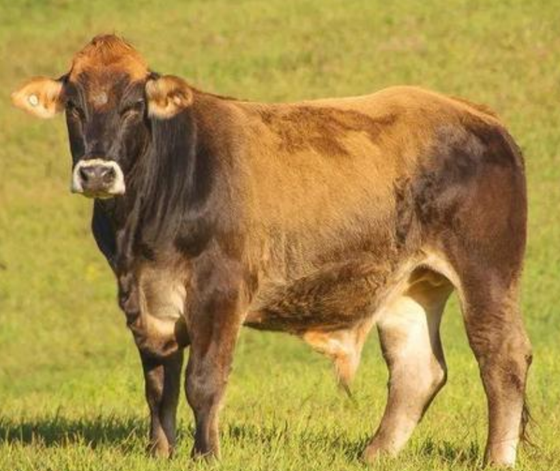 A035D934DCD6EB12094FC963D612F236.png A035D934DCD6EB12094FC963D612F236.png