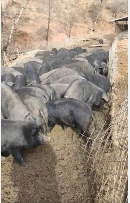 QQ图片20230105153925.png QQ图片20230105153925.png