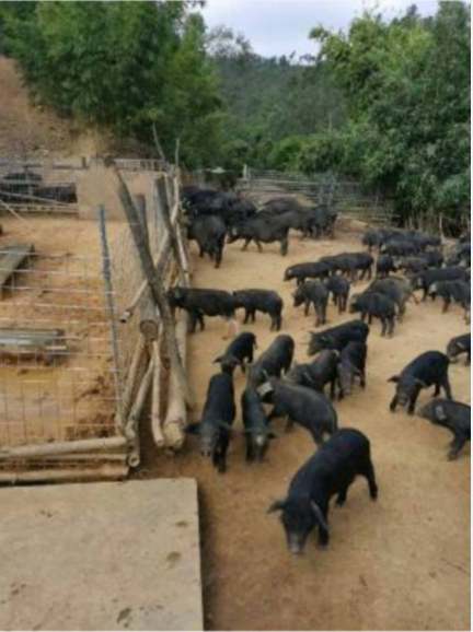 QQ图片20220924103451.png QQ图片20220924103451.png