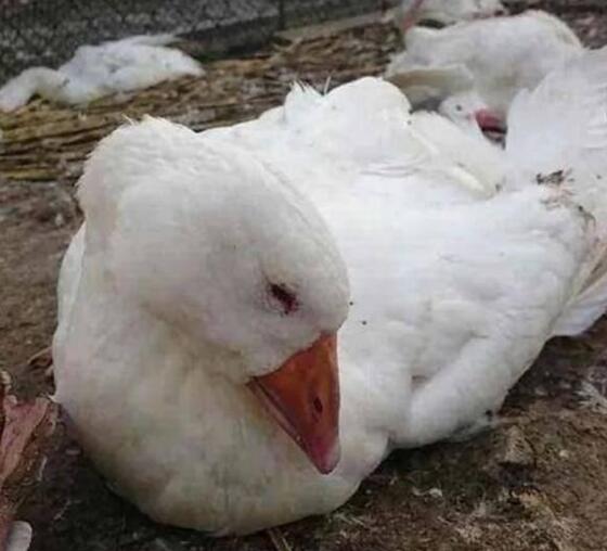 QQ图片20251021114320.jpg QQ图片20251021114320.jpg