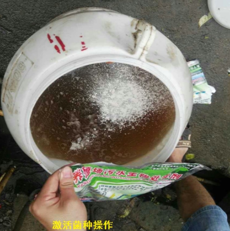 17361279184481809.jpg 17361279184481809.jpg