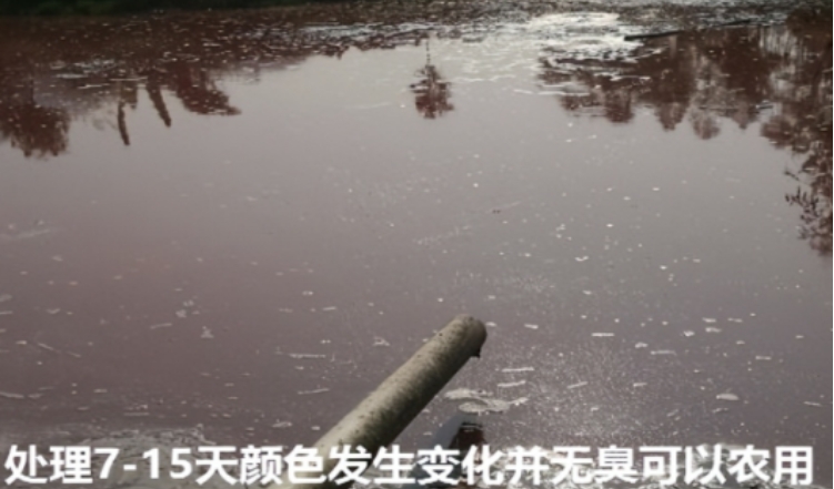 17361280725081251.jpg 17361280725081251.jpg