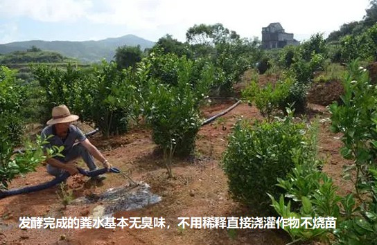 17361280725348493.jpg 17361280725348493.jpg