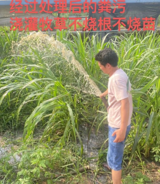 17361280735412626.jpg 17361280735412626.jpg