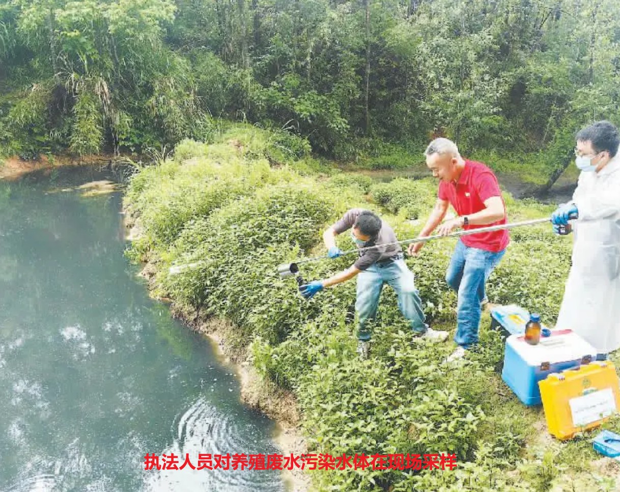 执法人员对养殖废水污染水体在现场采样.jpg 执法人员对养殖废水污染水体在现场采样.jpg