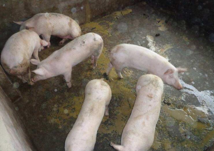 微信图片_20251027091750.jpg 微信图片_20251027091750.jpg