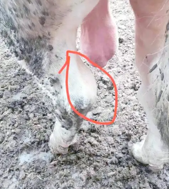 D92FC34FC8C84EDE6C1FE2C500D7914E.png D92FC34FC8C84EDE6C1FE2C500D7914E.png