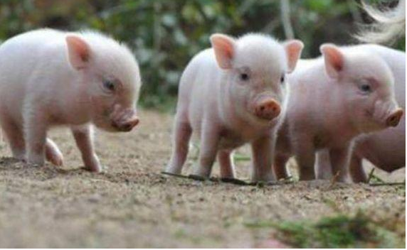 QQ浏览器截图20241119101938.png QQ浏览器截图20241119101938.png