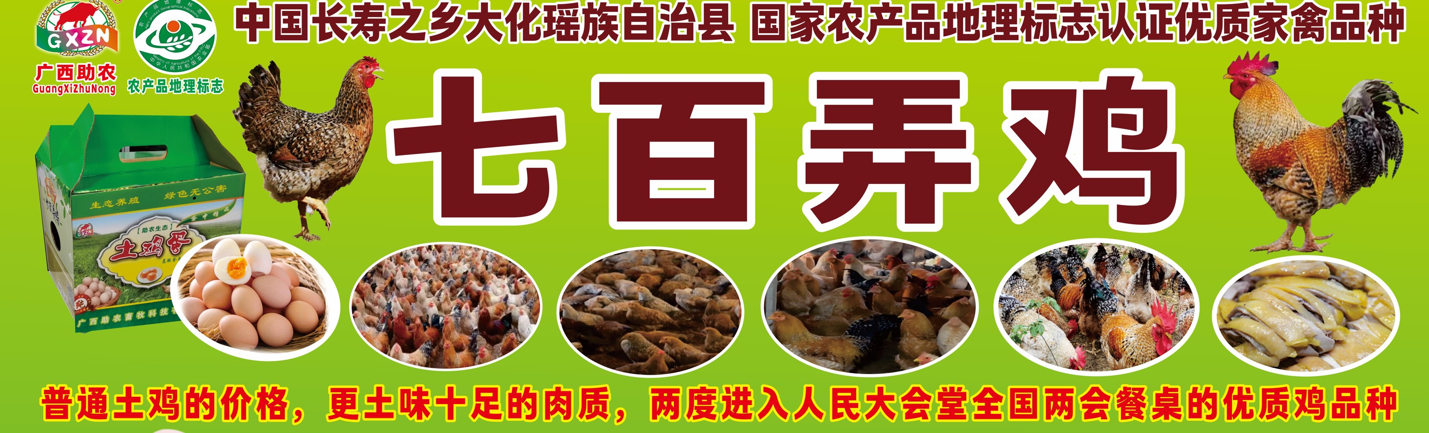 七百弄鸡介绍高清.jpg 七百弄鸡介绍高清.jpg