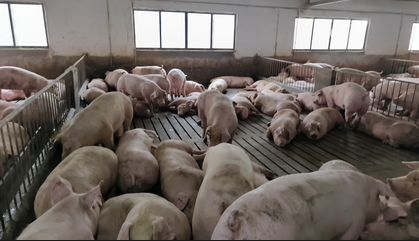 67763d43af6e4141c269d309bb2c8d62.png 67763d43af6e4141c269d309bb2c8d62.png