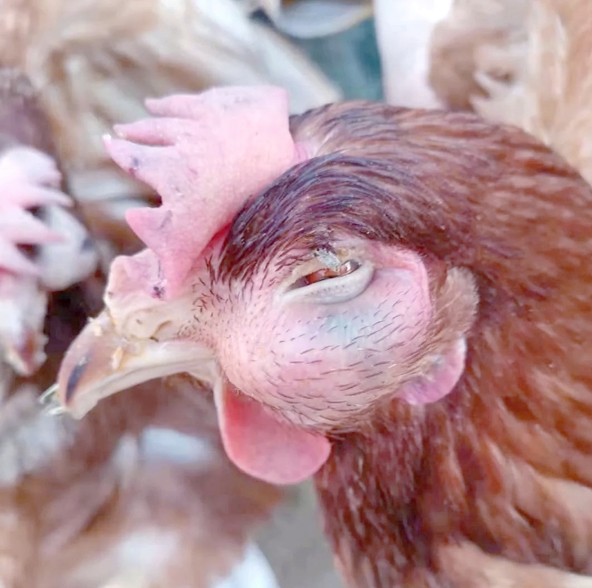 微信截图_20251118092656.jpg 微信截图_20251118092656.jpg