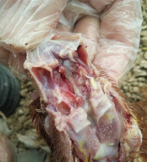 微信截图_20251118092718.jpg 微信截图_20251118092718.jpg