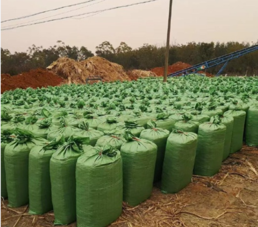 截图20251128095402.png 截图20251128095402.png