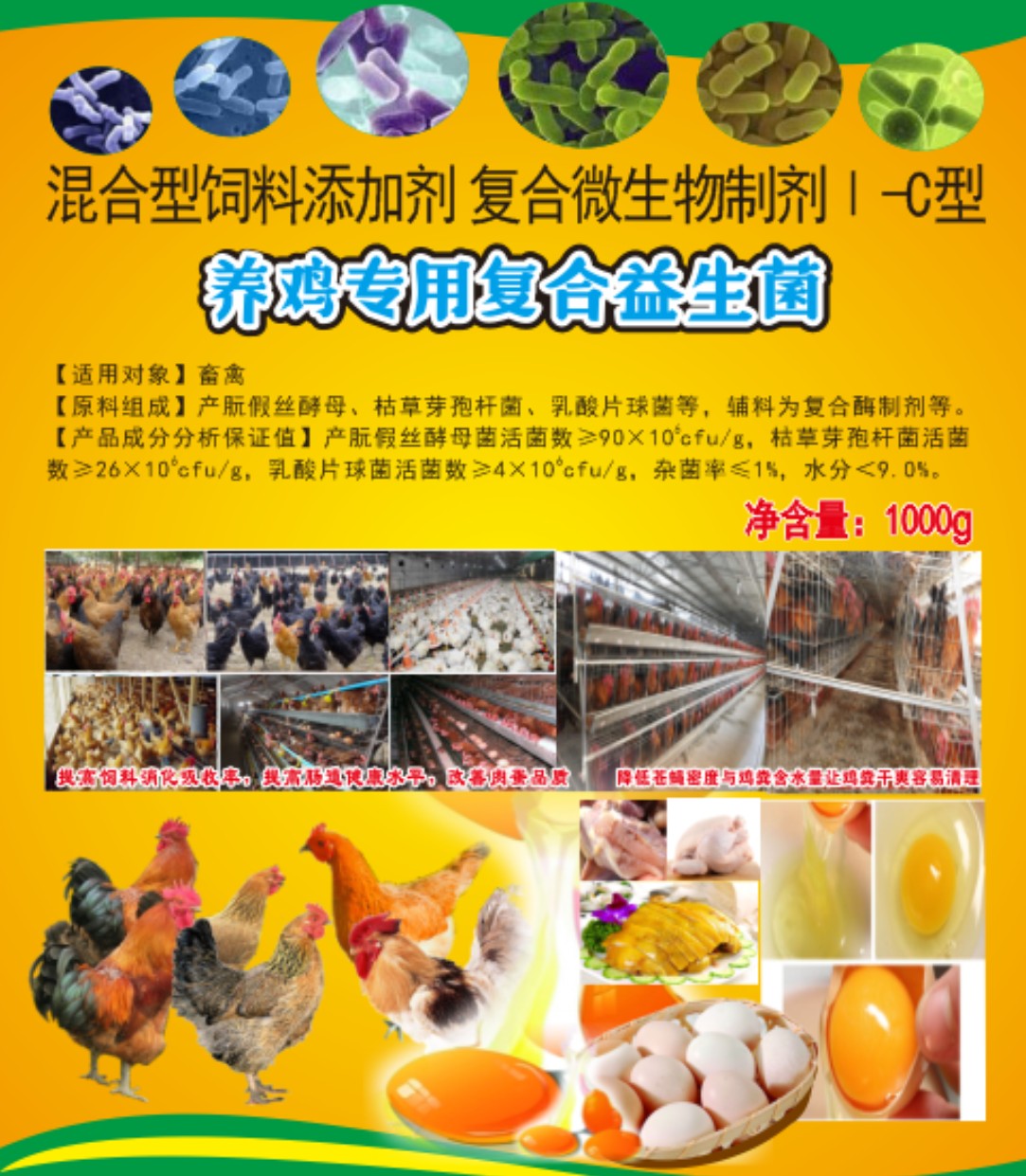 养鸡专用复合益生菌.jpg 养鸡专用复合益生菌.jpg