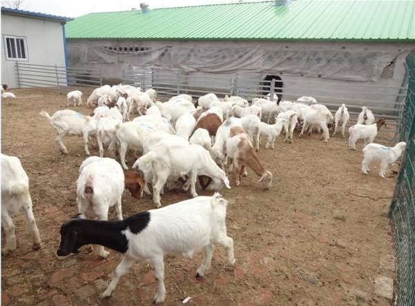 QQ浏览器截图20241031104914.png QQ浏览器截图20241031104914.png