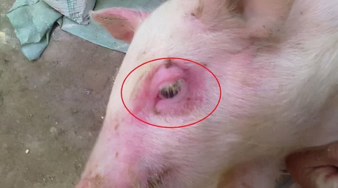 微信图片_20251222092353.jpg 微信图片_20251222092353.jpg