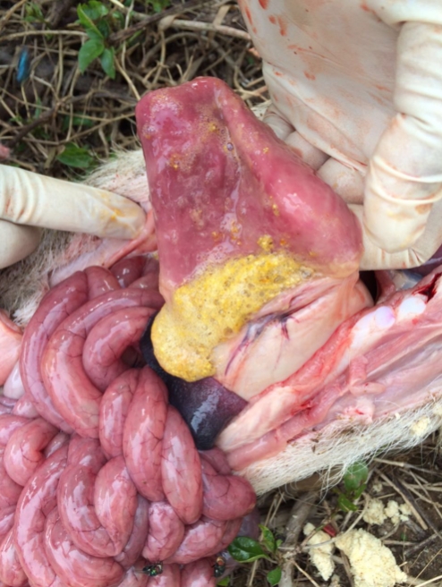 微信截图_20251222092343.jpg 微信截图_20251222092343.jpg