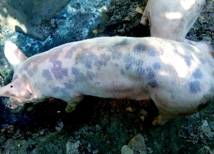 微信截图_20251224092353.jpg 微信截图_20251224092353.jpg