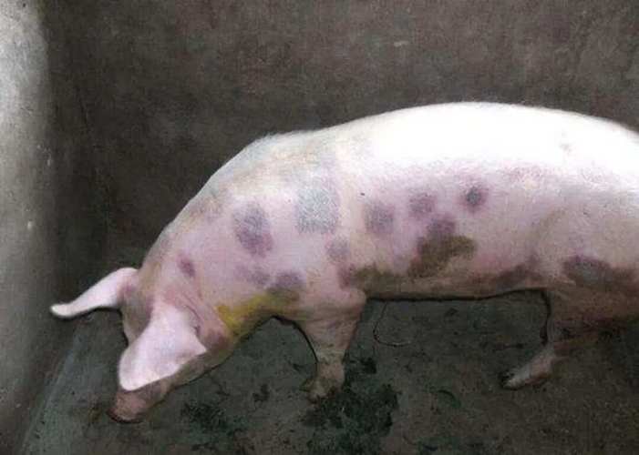 微信图片_20251224092331.jpg 微信图片_20251224092331.jpg