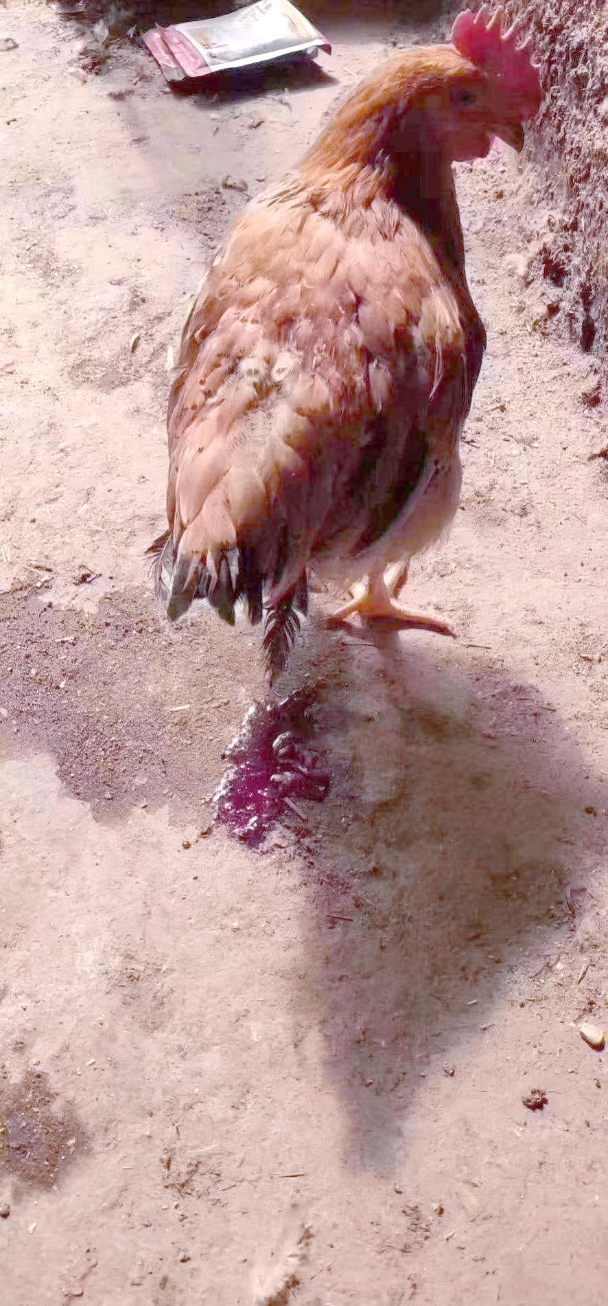 微信图片_20251226093037.jpg 微信图片_20251226093037.jpg