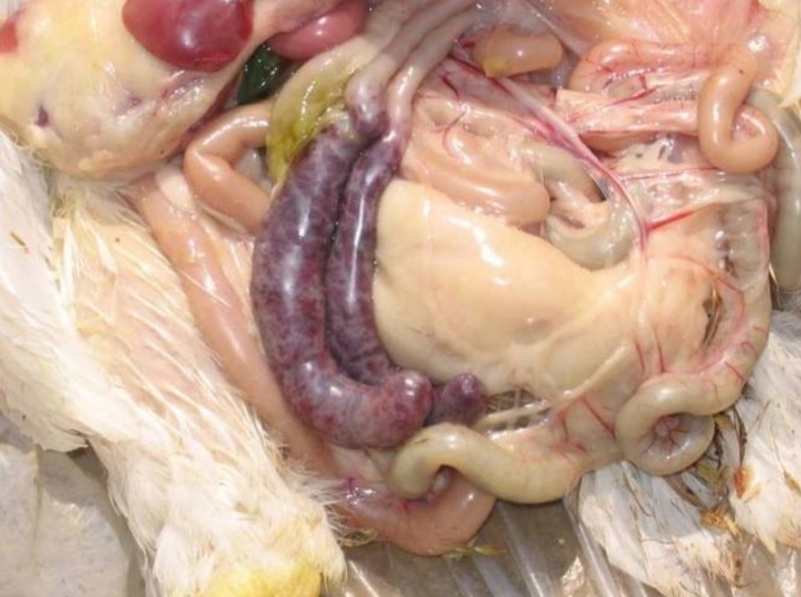 微信截图_20251226093026.jpg 微信截图_20251226093026.jpg