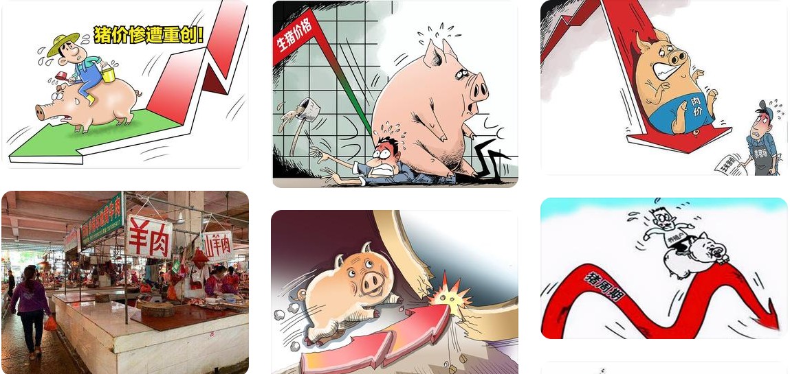 猪价低迷.jpg 猪价低迷.jpg