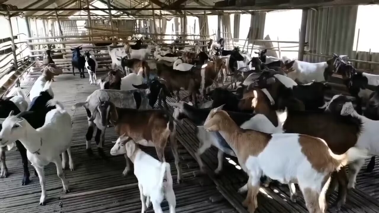 QQ图片20230318141312.jpg QQ图片20230318141312.jpg