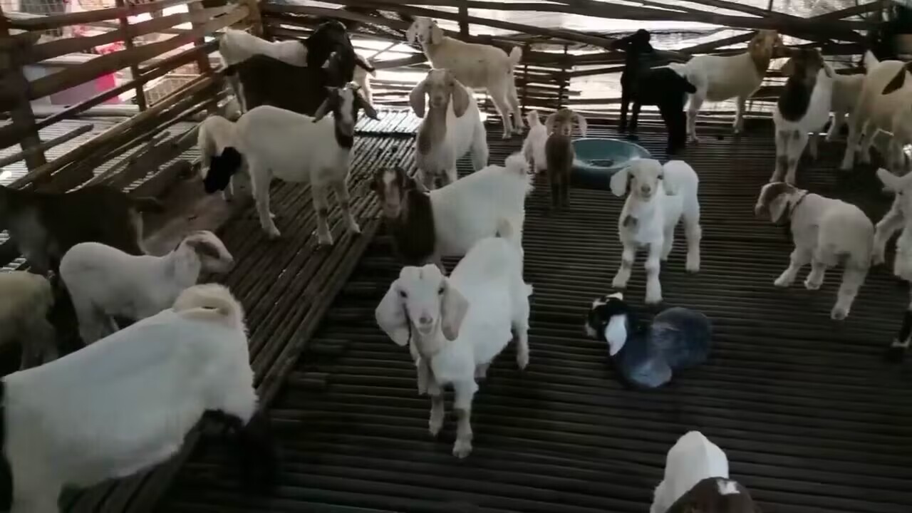 QQ图片20230318141322.jpg QQ图片20230318141322.jpg