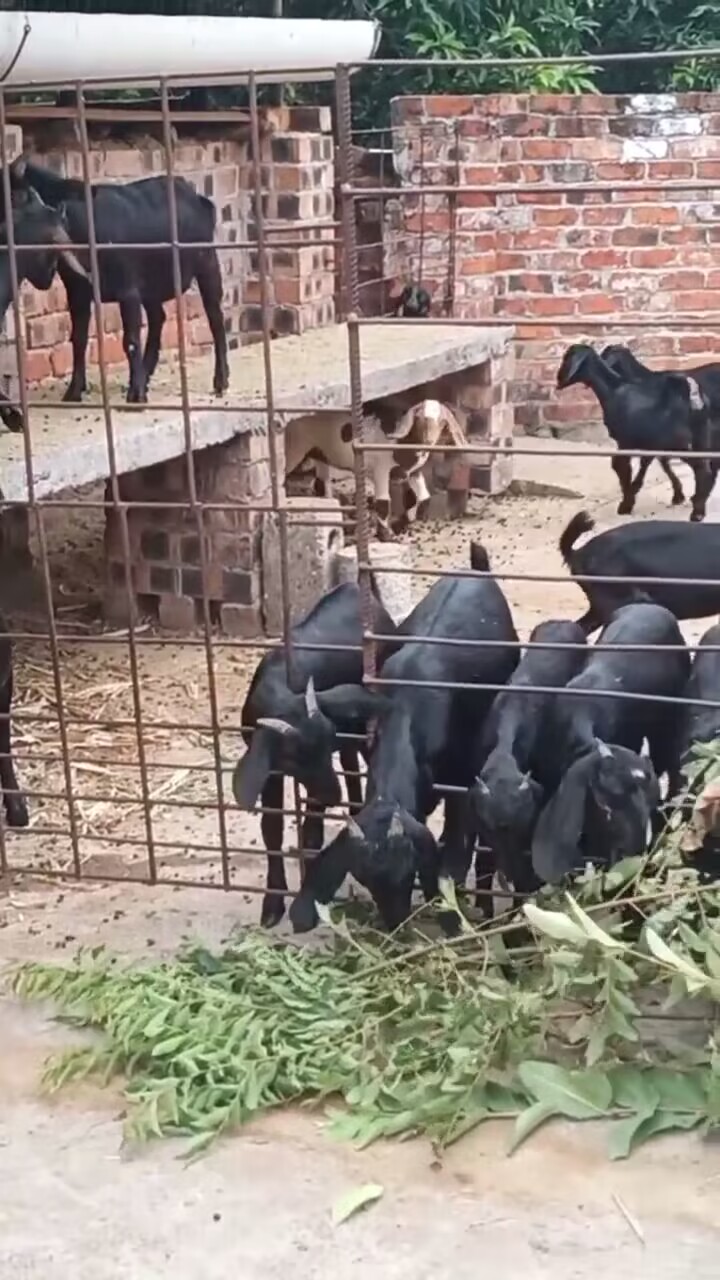 QQ图片20230318141332.jpg QQ图片20230318141332.jpg