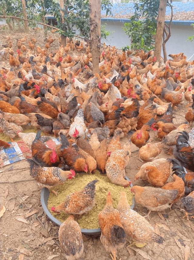 78DC7AFE4962018F990D0D203E36EEA8.jpeg 78DC7AFE4962018F990D0D203E36EEA8.jpeg