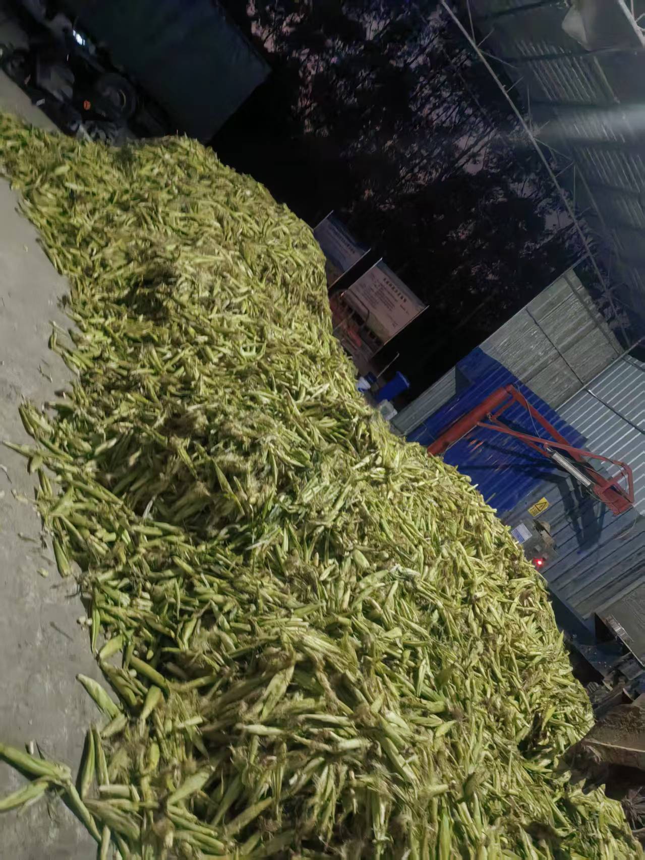 d1feae291829c0cf83a36e7b85797e7e_720.jpg d1feae291829c0cf83a36e7b85797e7e_720.jpg