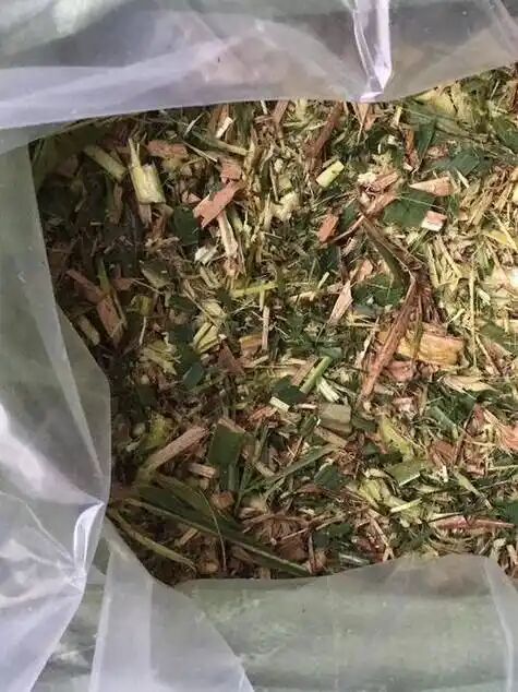 ce8aefe33c4434b4a137d7ec676ab6bb.jpg ce8aefe33c4434b4a137d7ec676ab6bb.jpg