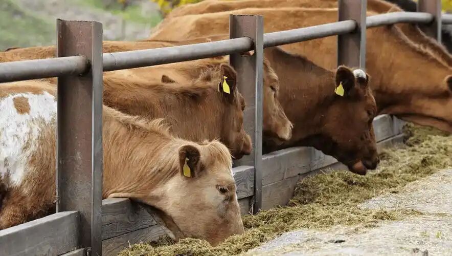 ba650510be924cb6593e2a9302fe528b.jpg ba650510be924cb6593e2a9302fe528b.jpg