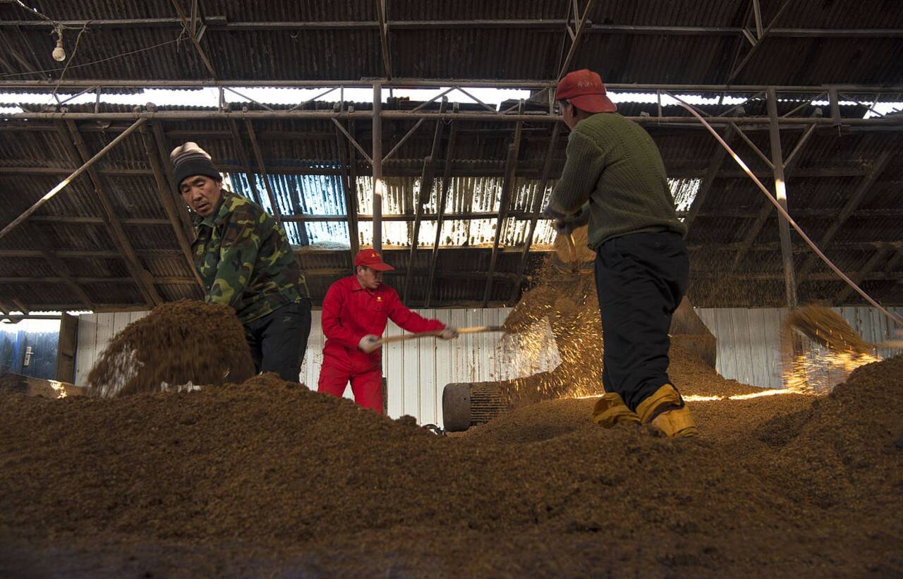 8b3c94674bf403e829fefce642fc85e6_720.jpeg 8b3c94674bf403e829fefce642fc85e6_720.jpeg