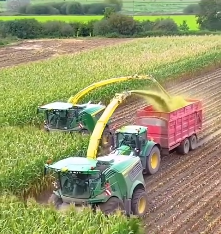 截图20260115091432.png 截图20260115091432.png