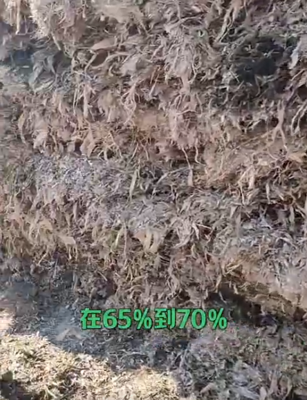 ScreenShot_2026-01-15_091752_417.png ScreenShot_2026-01-15_091752_417.png