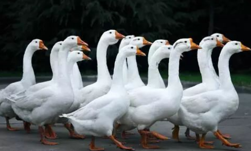 QQ图片20260309094820.png QQ图片20260309094820.png